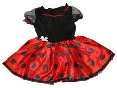 Christy's, Katica jelmez