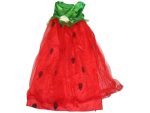 Costume, Dinnye jelmez